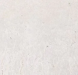 20240518_TPP_Rads_00001crop.jpg