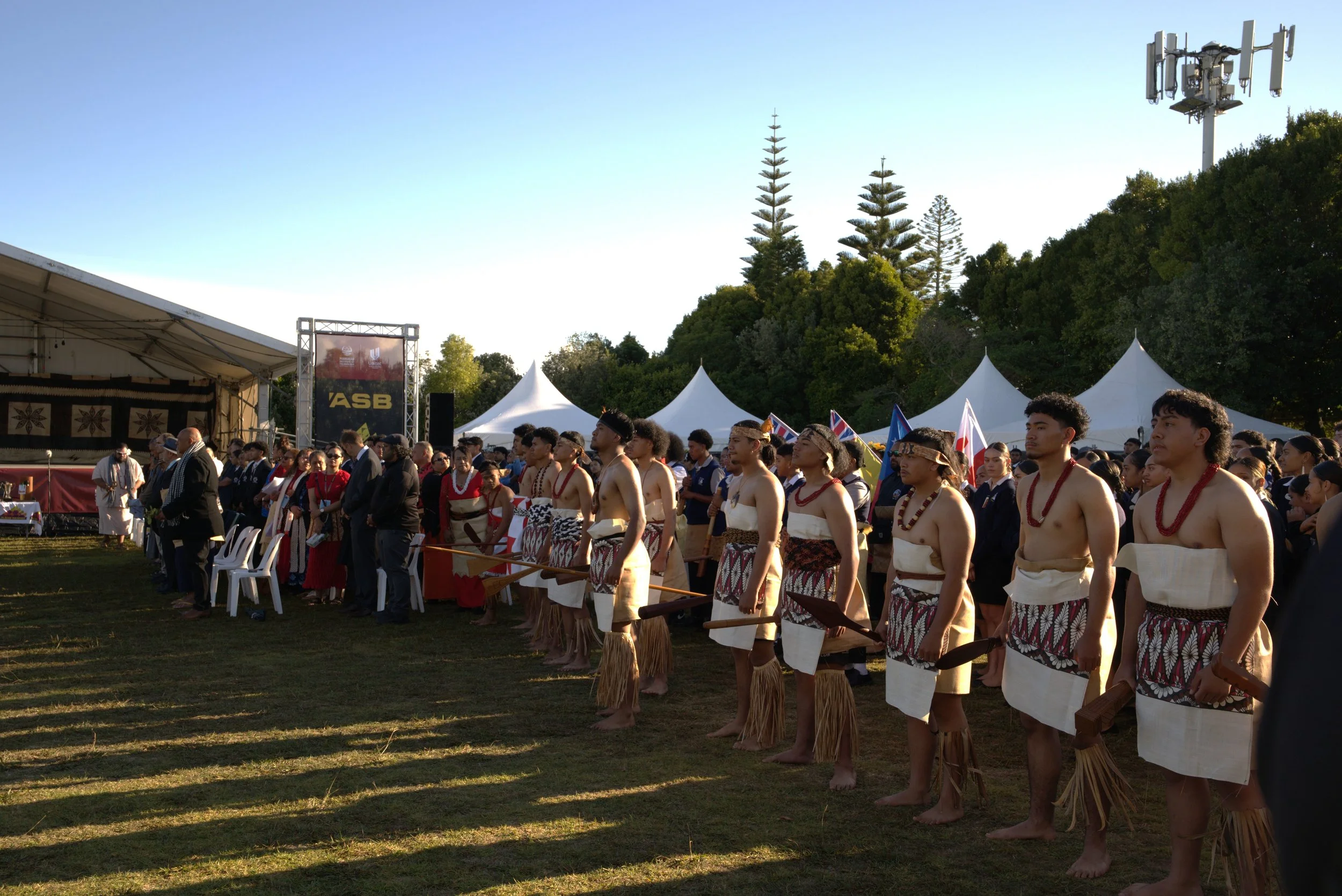 DSC00154 - Tui Kaivelata.jpg