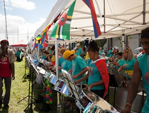 u-ceo-communications-and-public-affairs-marketing-and-publicity-operations-ace-arts-culture-unit-creative-community-scheme-2018-our-auckland-image-1.jpg