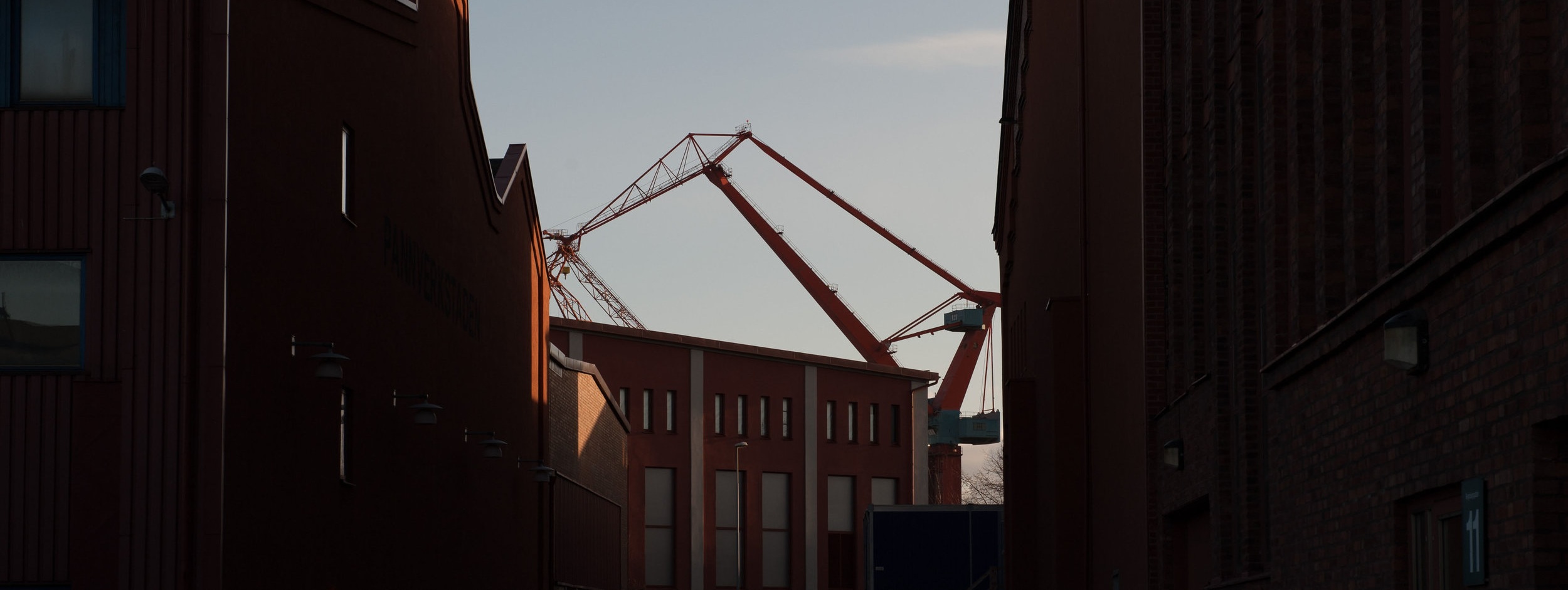 DSC_3334.jpg