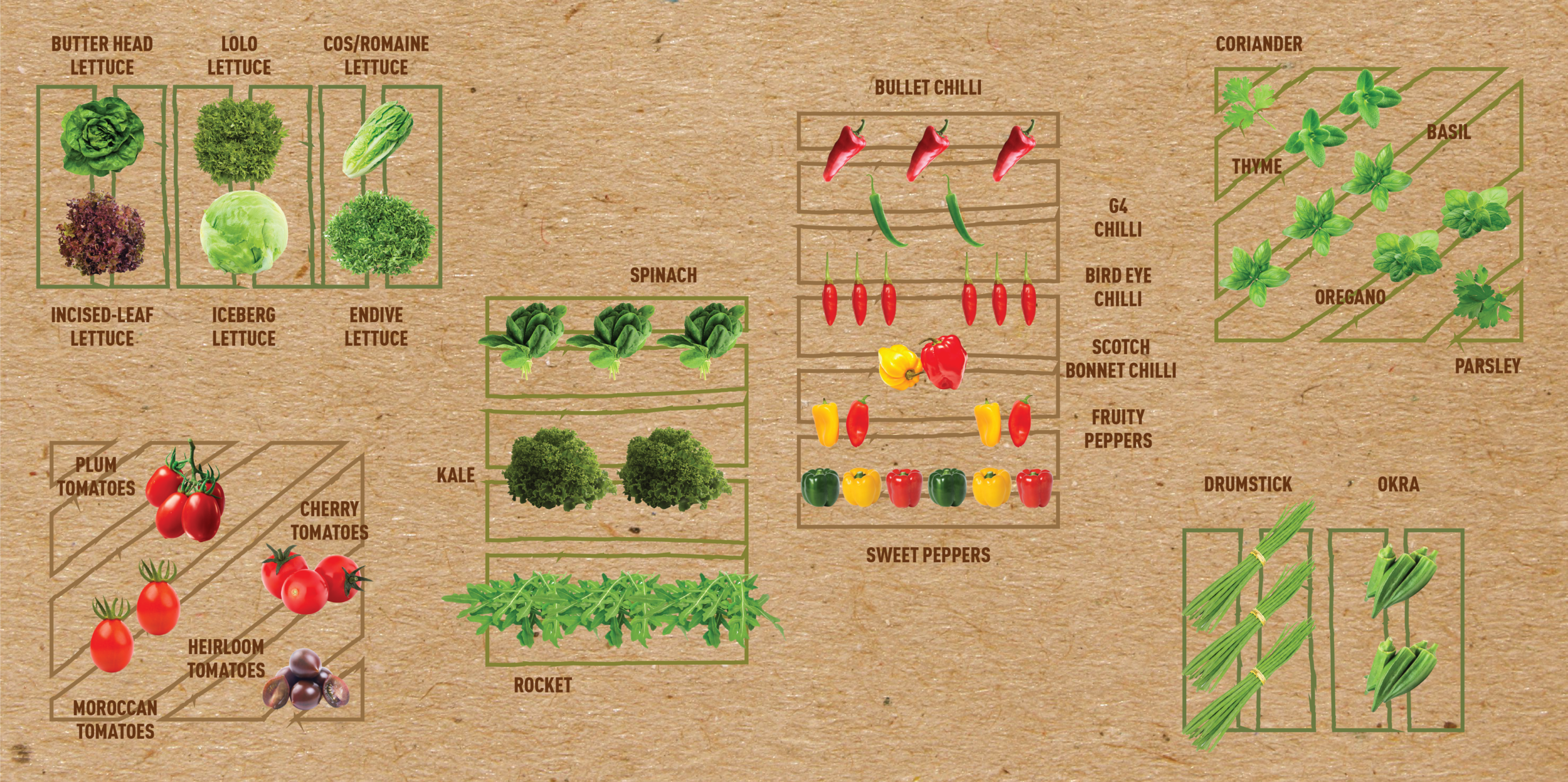 Web_OurPRoduce-01.png