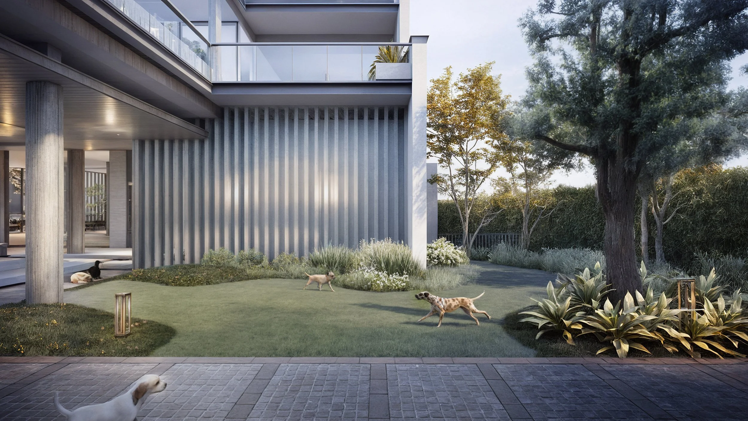 Pet's Lawn