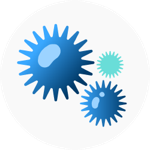 Icon6.png