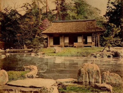 Mikado’s garden