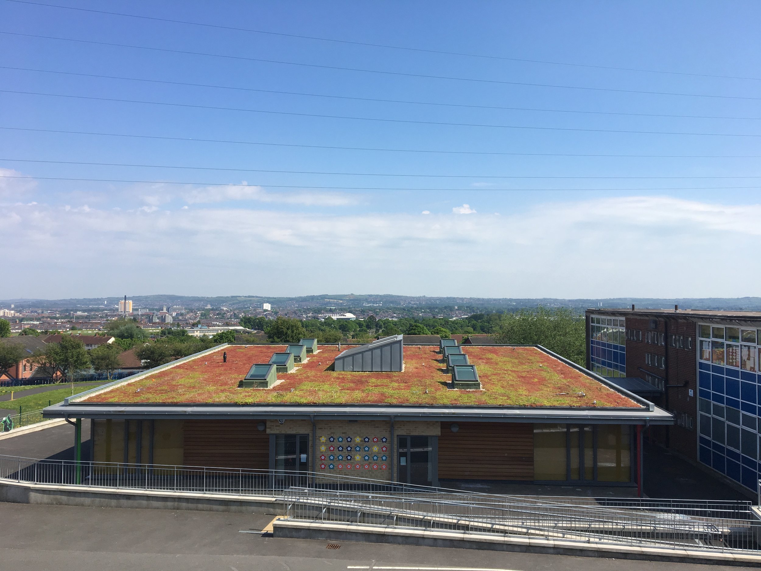 0 Sedum Green Roof.JPG