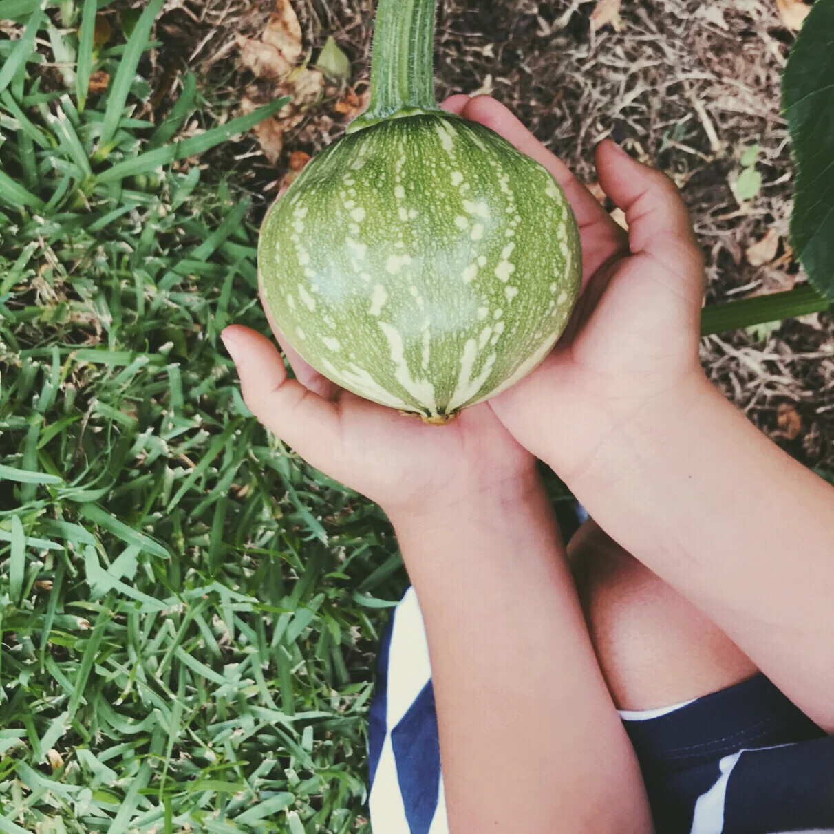 Making Sweet Pumkin Love
