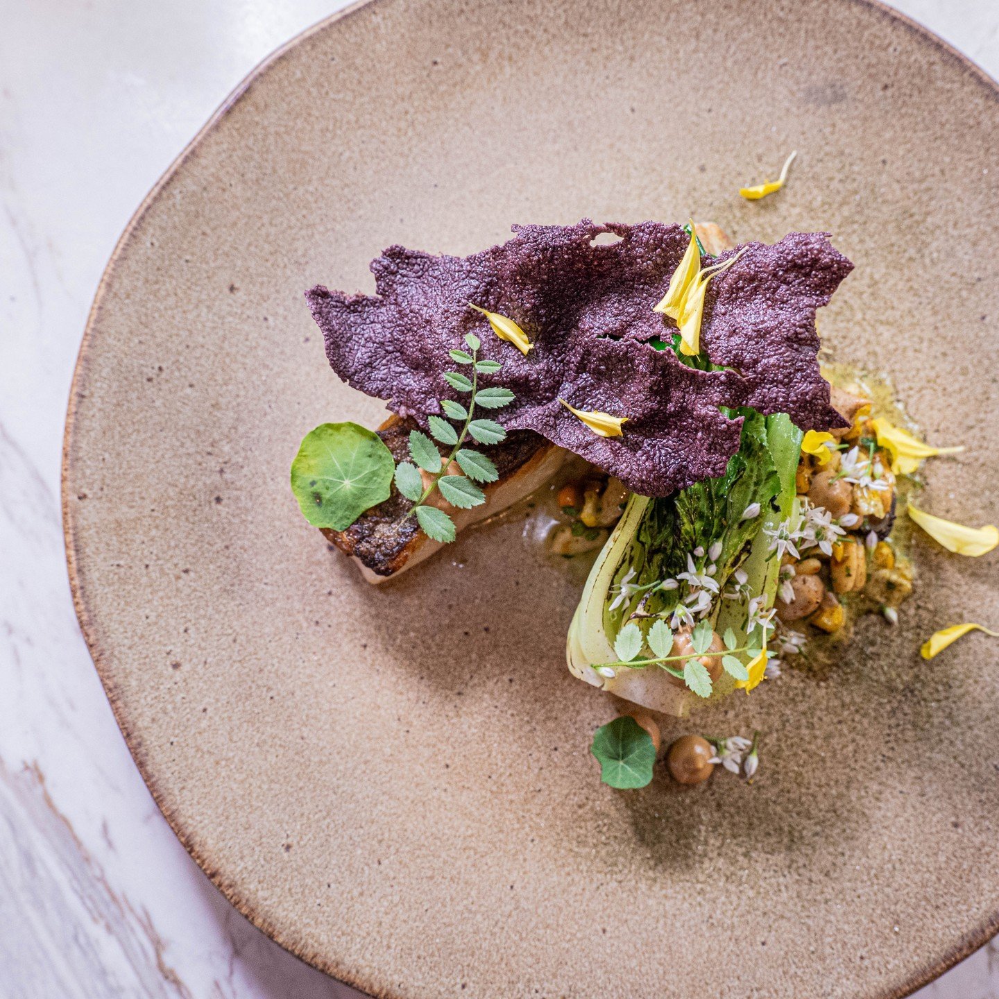 FRESH MARKET FISH

Smoked mussels, sweet corn succotash, cashew butter, tom yum, bok choi

Book your table online (link in bio), email reception@thechefstable.co.za or phone 031 001 0200.

@eatoutguide 
@jhp_gourmet_guide 
@sebastian.nico.photography