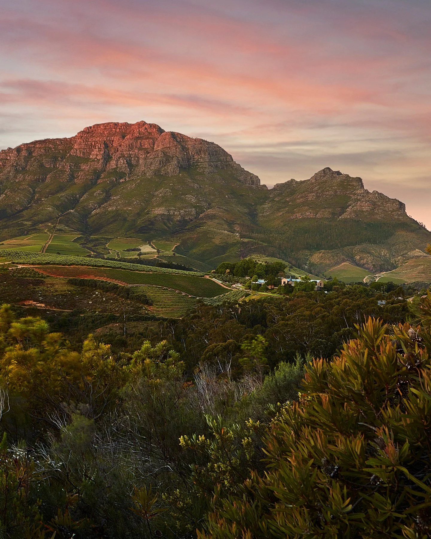 FOOD &amp; WINE PAIRING DINNER WITH WITH TOKARA AND MORN&Eacute; ELS

We&rsquo;re delighted to announce our next Food &amp; Wine Pairing Dinner, hosted by Morn&eacute; Els from Tokara, on Tuesday, 28 July. 

Because of Tokara&rsquo;s unique location,