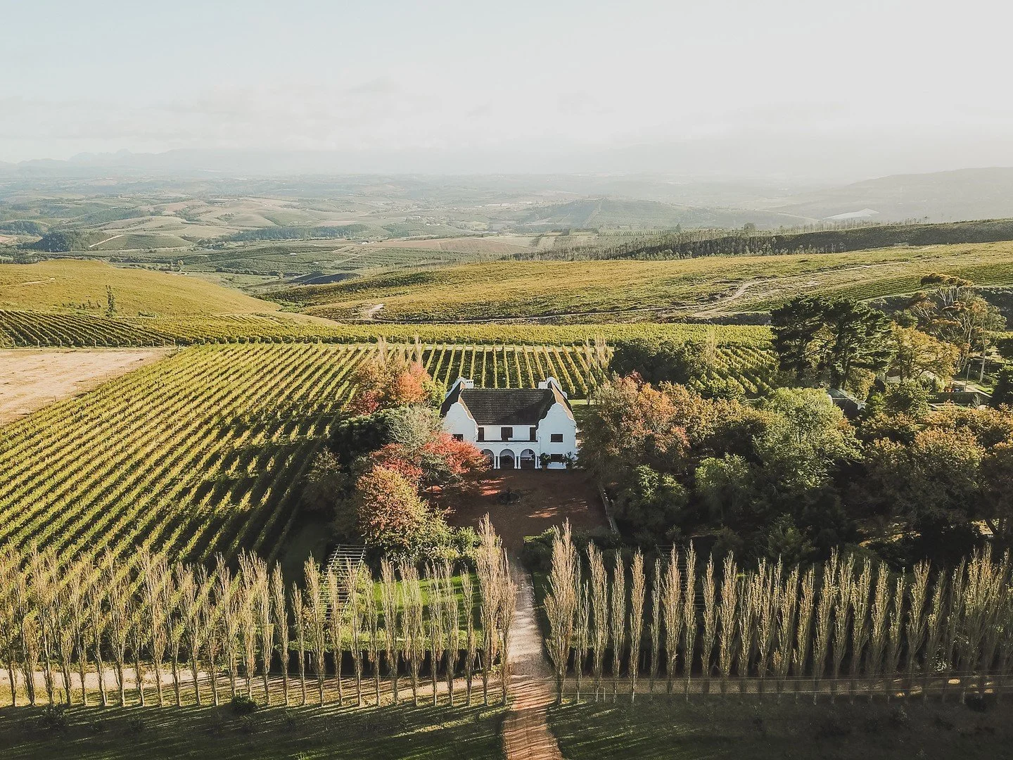 Our Final Wine Evening of 2026 - FOOD &amp; WINE PAIRING DINNER WITH IONA WINES

Join us on Wednesday 28 October as we close our year of Food &amp; Wine Pairing dinners with Iona. Our host is Jacqui Henderson, Cape Wine Master, head of marketing and 
