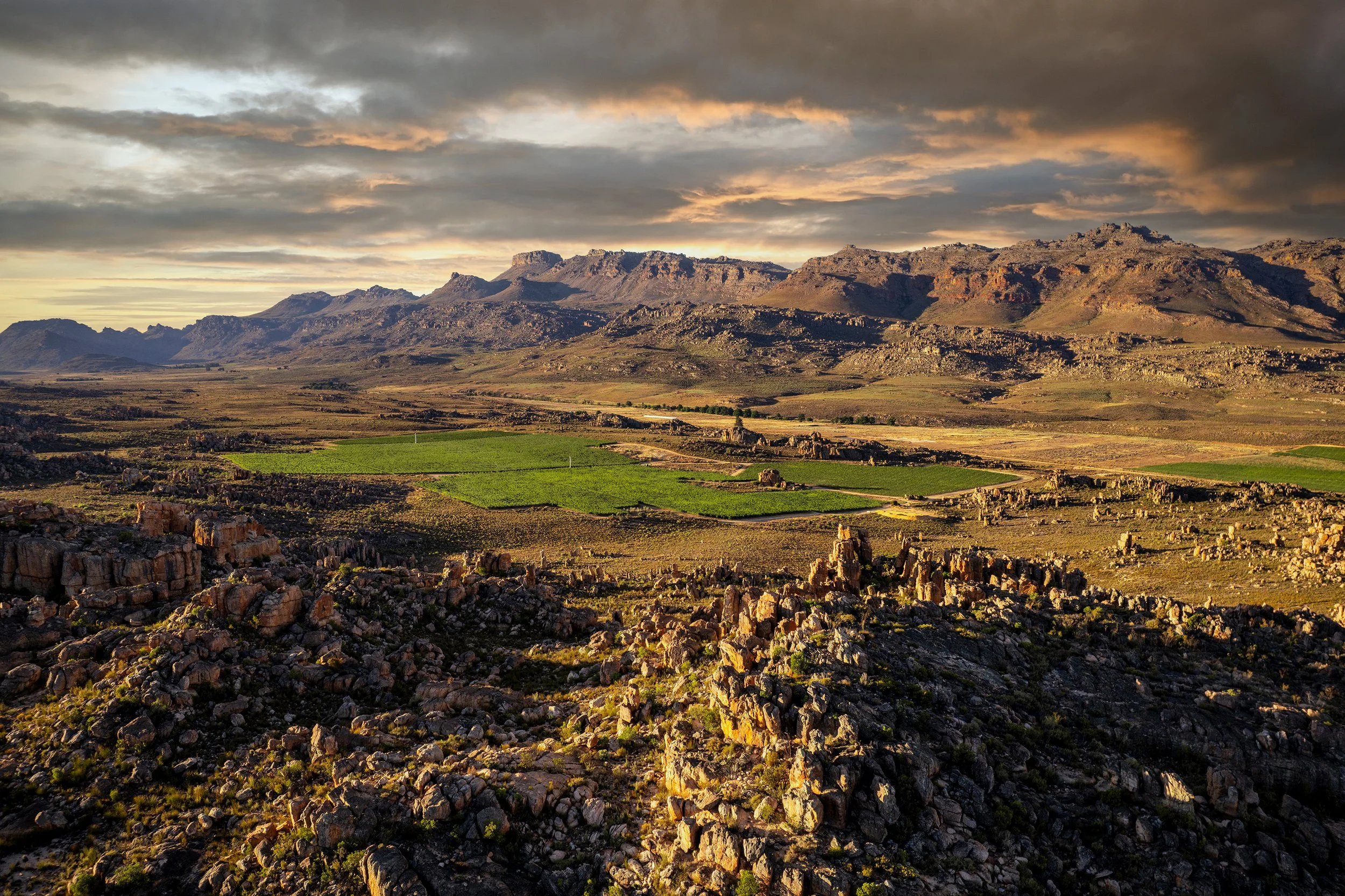 CederbergWines2024-574.jpg