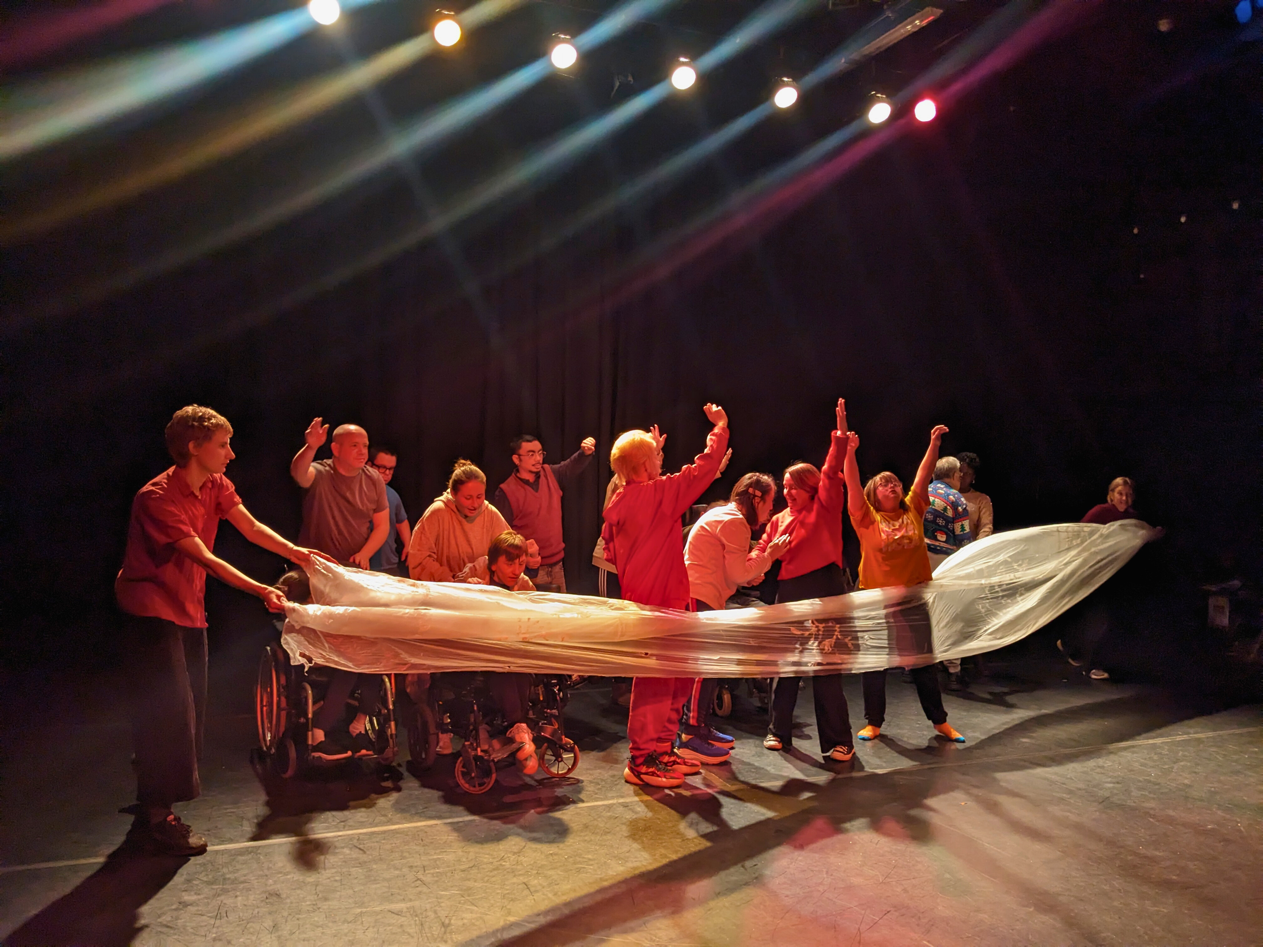 Trestle DANCE NOW Participants