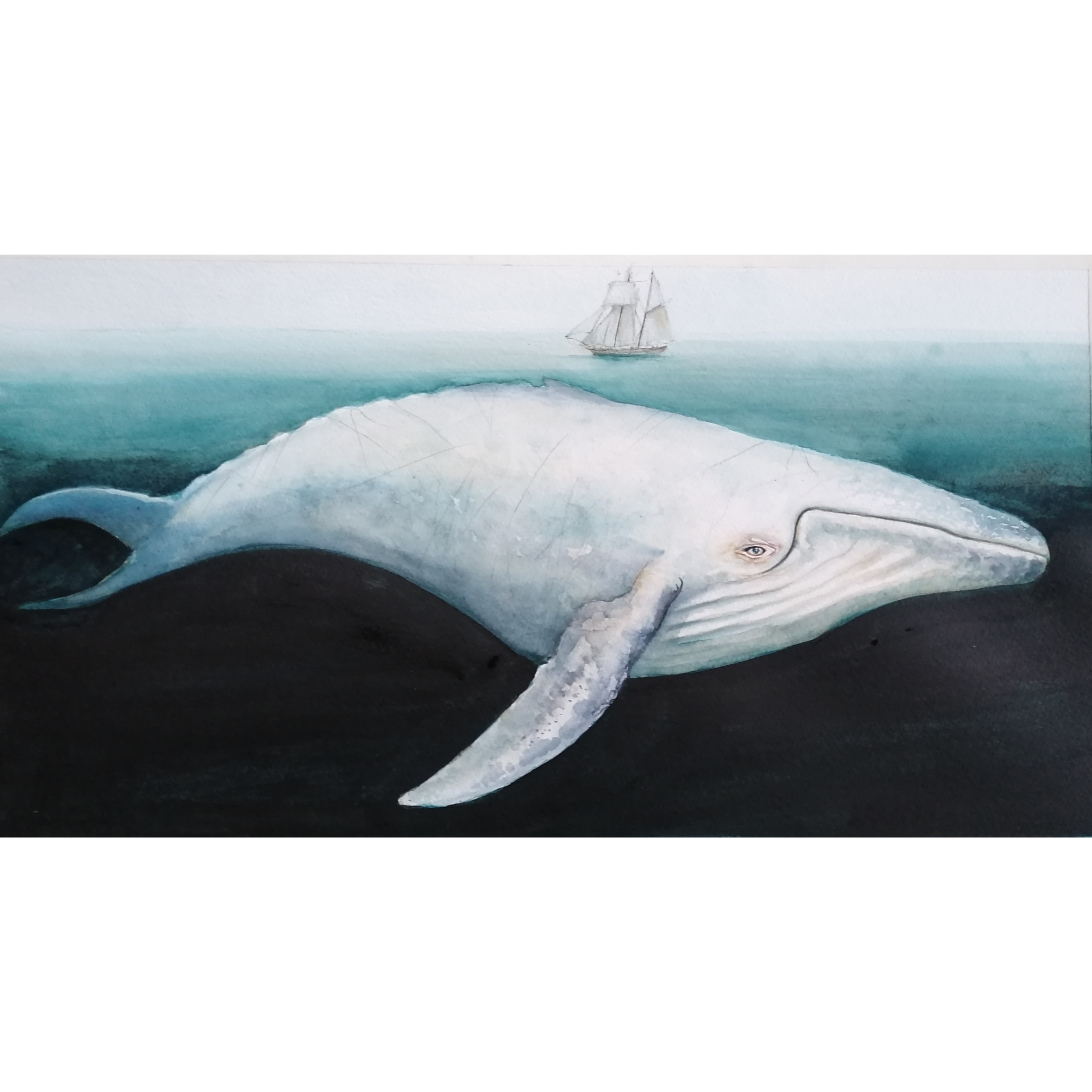 Moby Dick