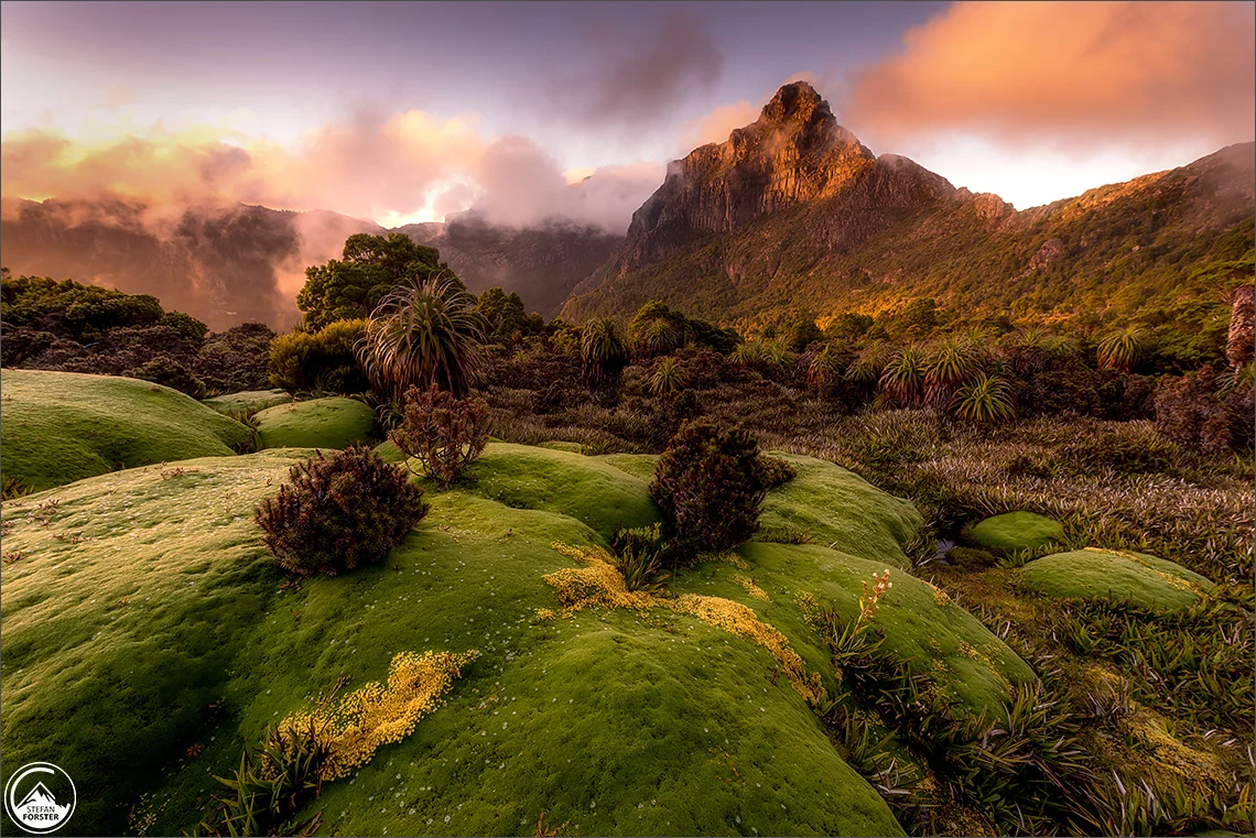 Januar 17 Tasmanien