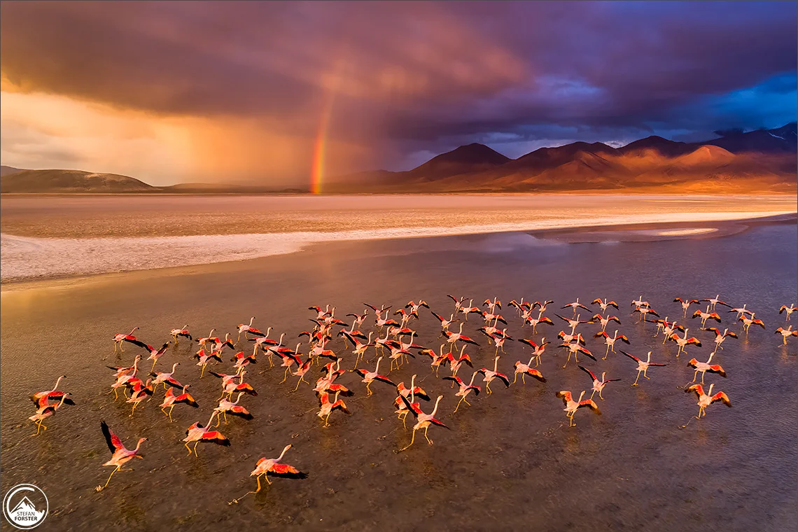 April 17 - Chile Altiplano