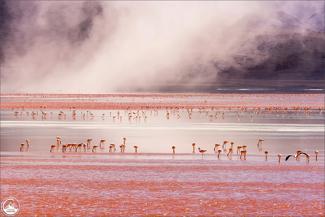 April 17 - Bolivien Altiplano