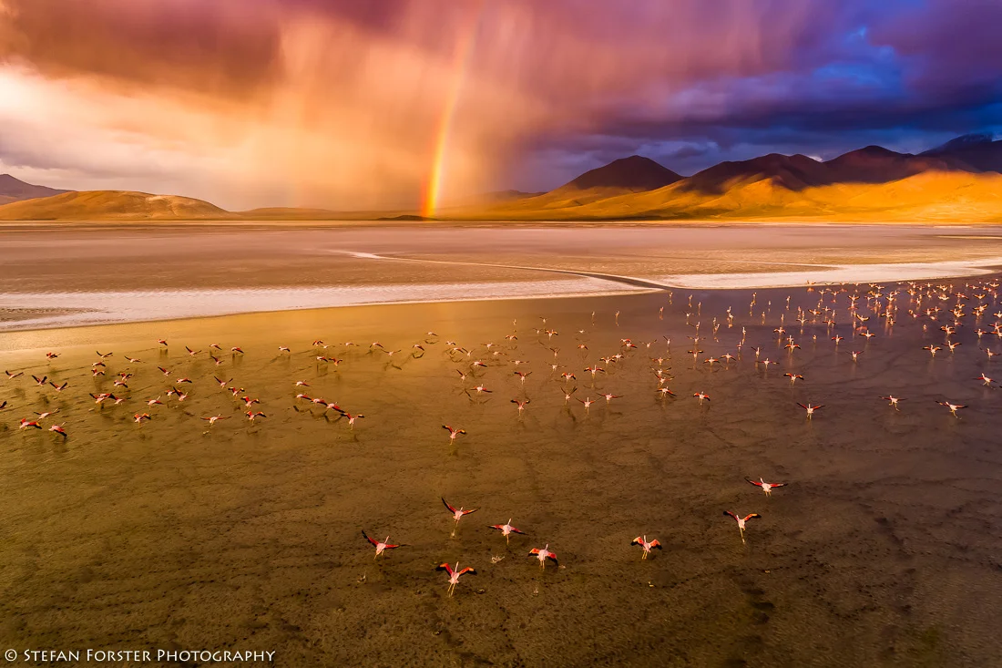 SUDAM_1DJI_0398.jpg