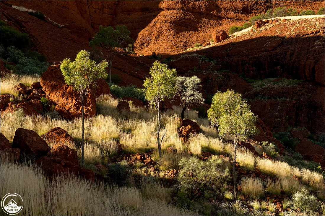 Blog_Olgas_Uluru-5.jpg