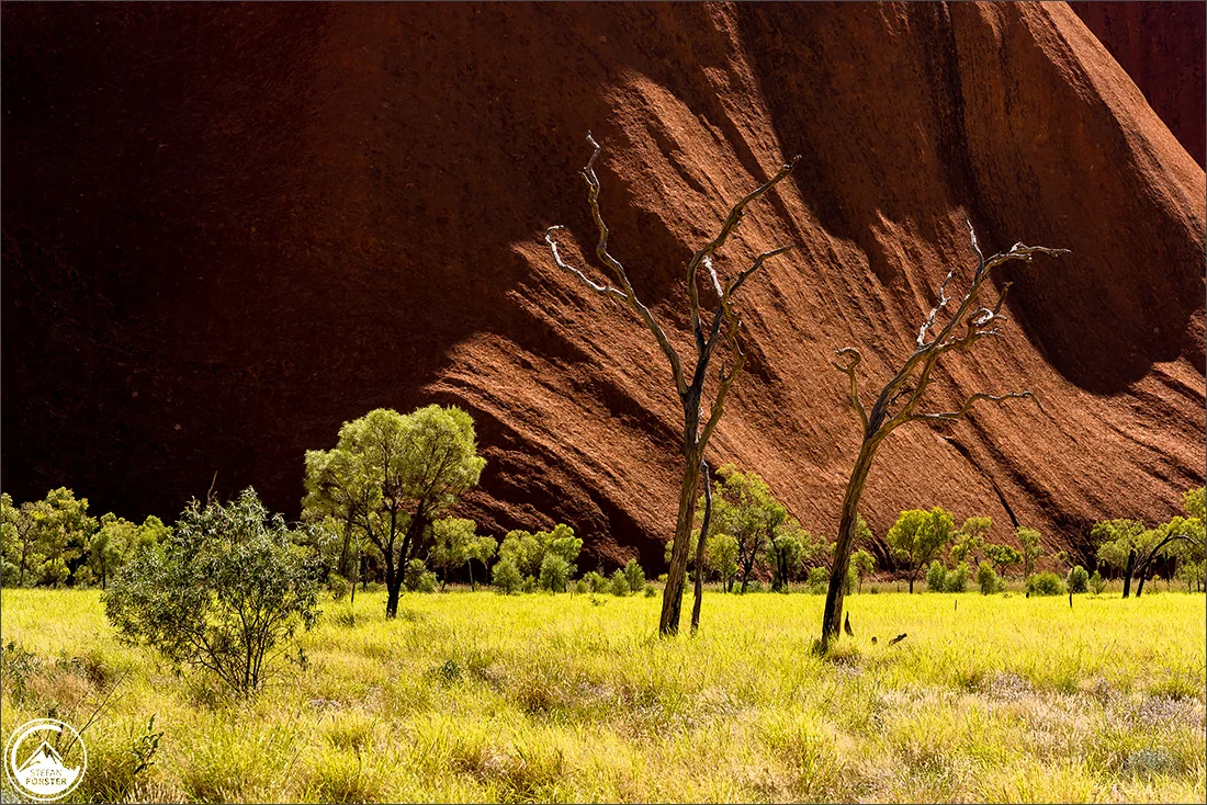 Blog_Olgas_Uluru-11.jpg