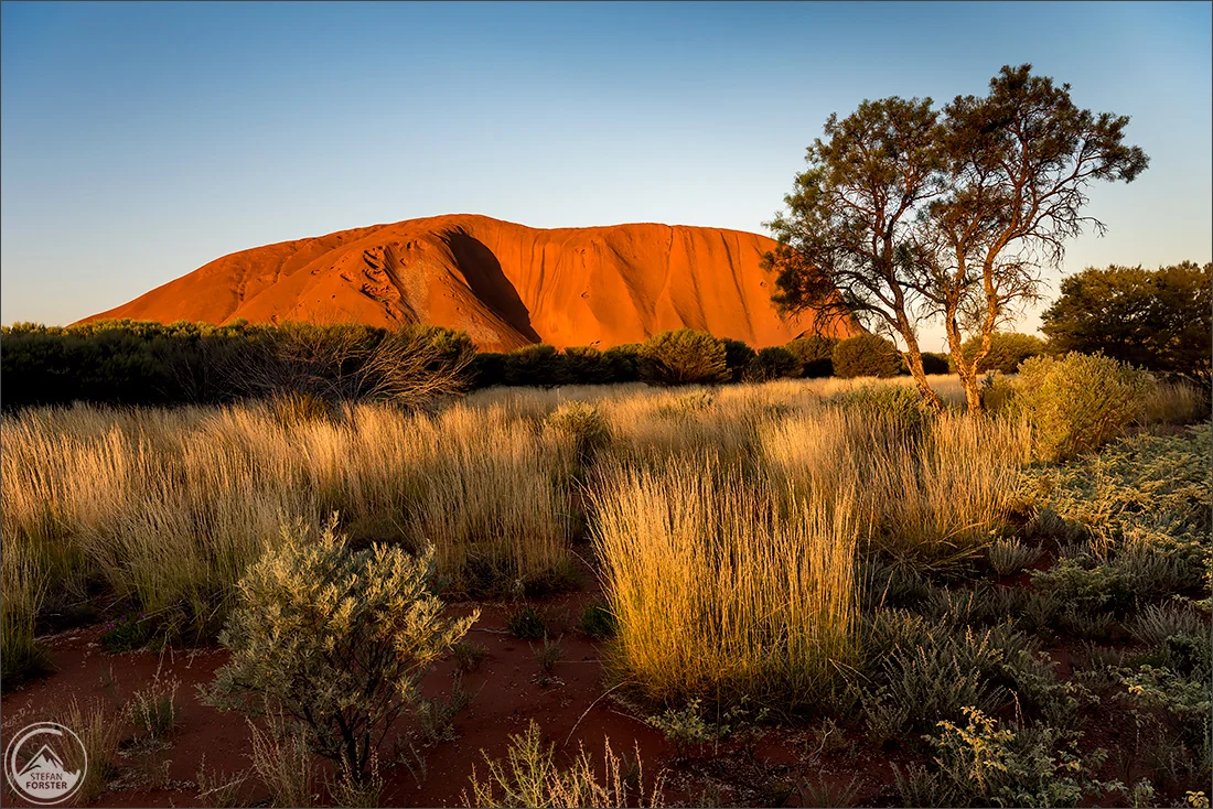 Einziges brauchbares Bild des ersten Sonnenuntergangs. Leider war der Baum rechts im Bild. Wäre ich weiter nach links gestanden (dann wäre der Baum nicht über dem Ayers Rock), würde mein Schatten quer durch das Bild reichen.