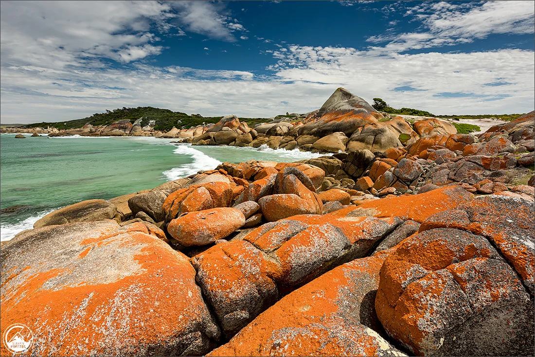 Tassie2-1.jpg