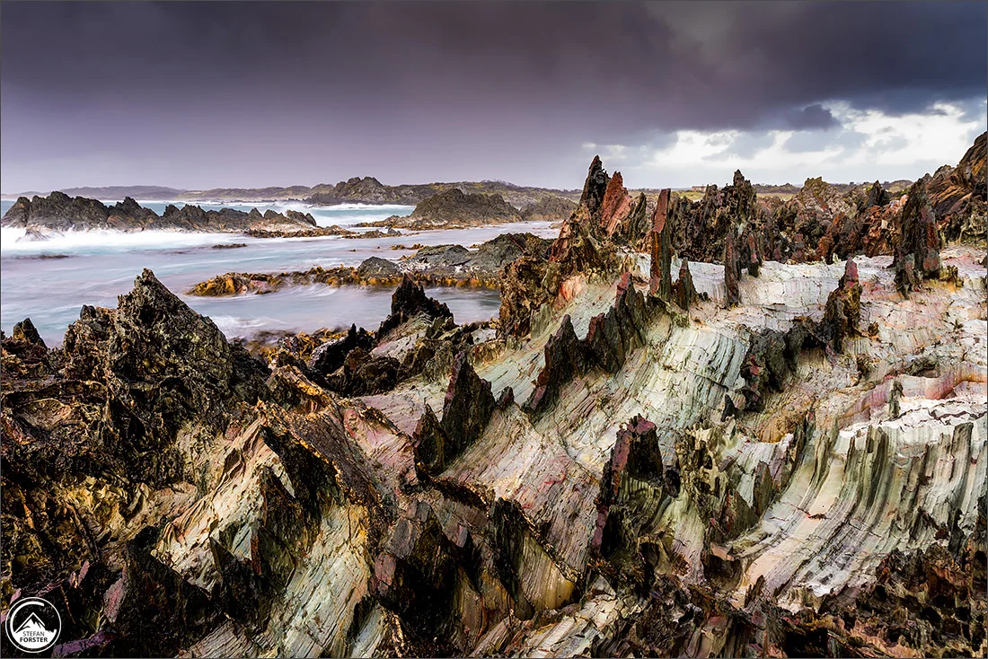 Tassie2-11.jpg