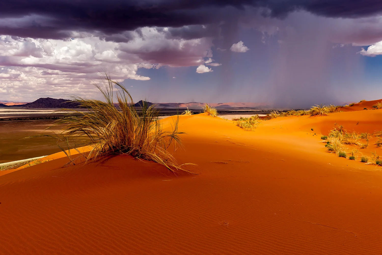 NAMIB NAUKLUFT - NAMIBIA