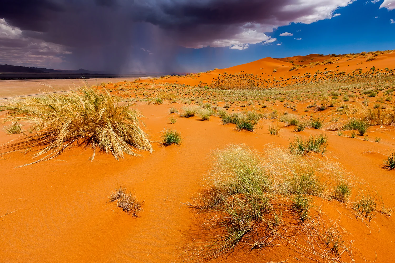 NAMIB NAUKLUFT - NAMIBIA