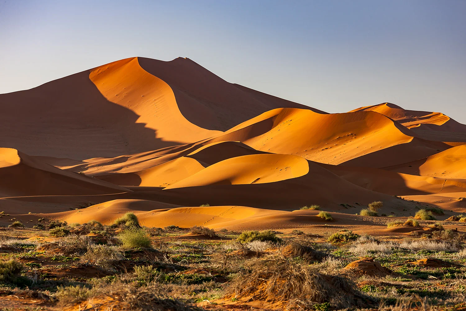 NAMIB NAUKLUFT - NAMIBIA