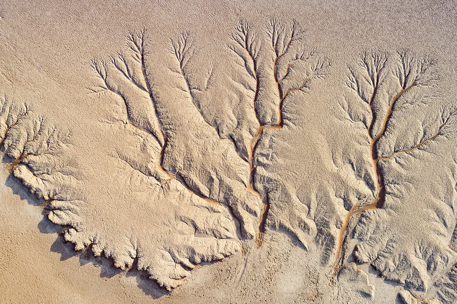 DEAD VLEI - NAMIBIA