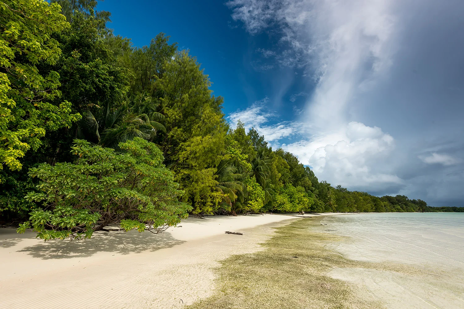 PALAU - MICRONESIA