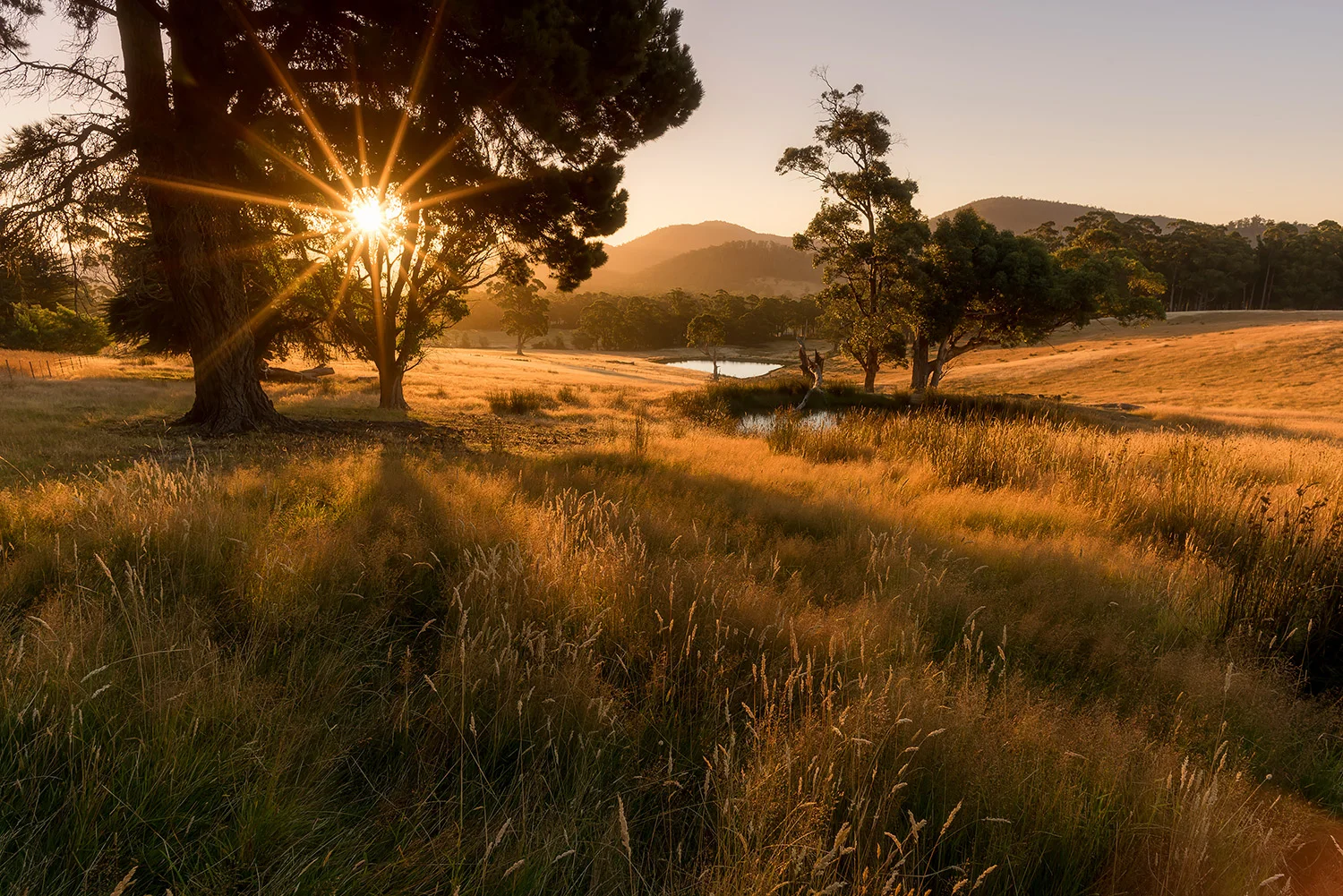 TASMANIA
