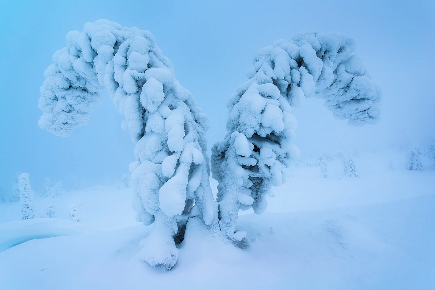 RIISITUNTURI NATIONAL PARK - FINLAND