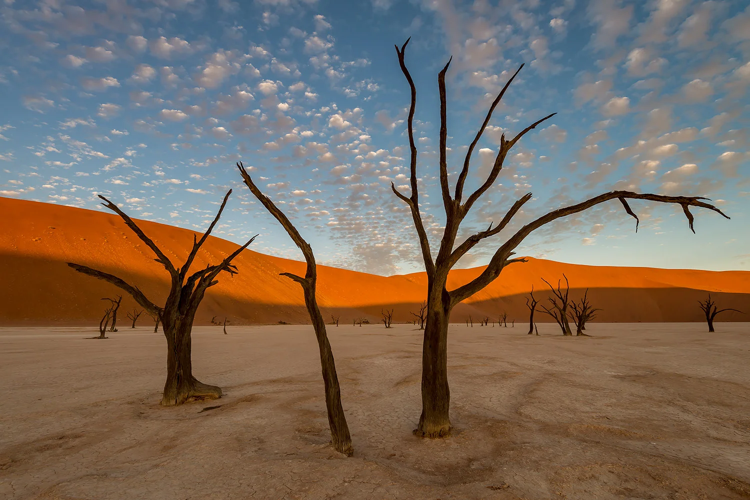DEAD VLEI - NAMIBIA