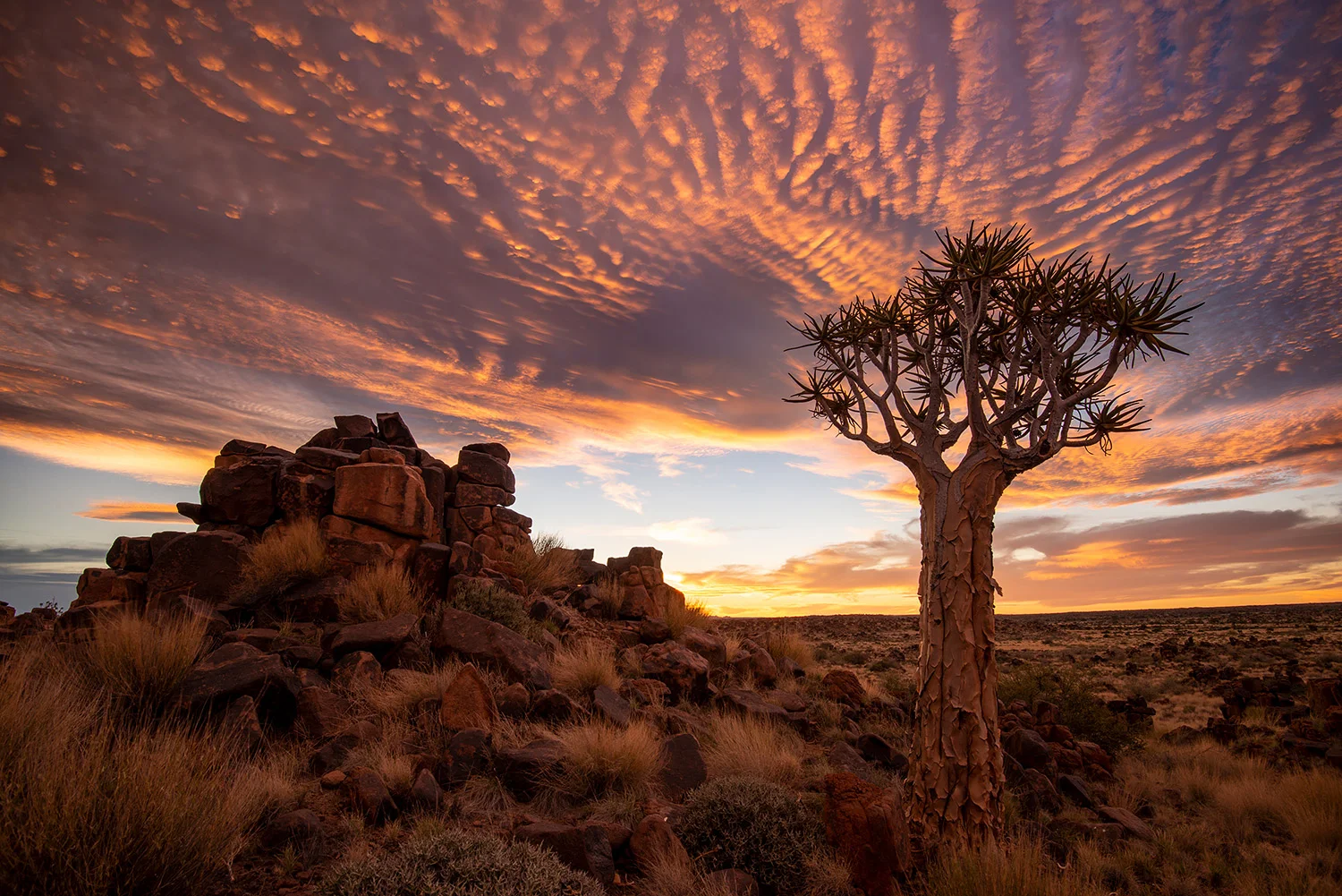 PLAYGOUND OF GIANTS - NAMIBIA