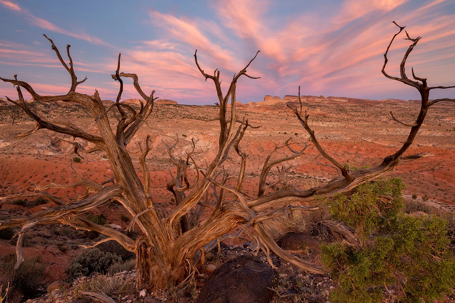 UTAH - USA