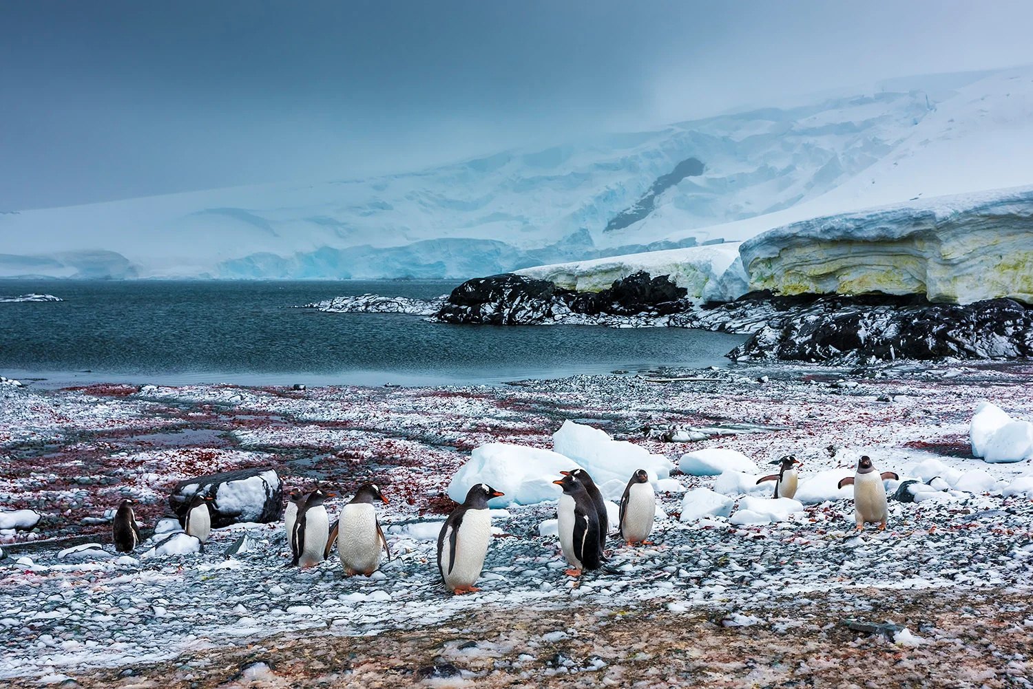 ANTARCTICA