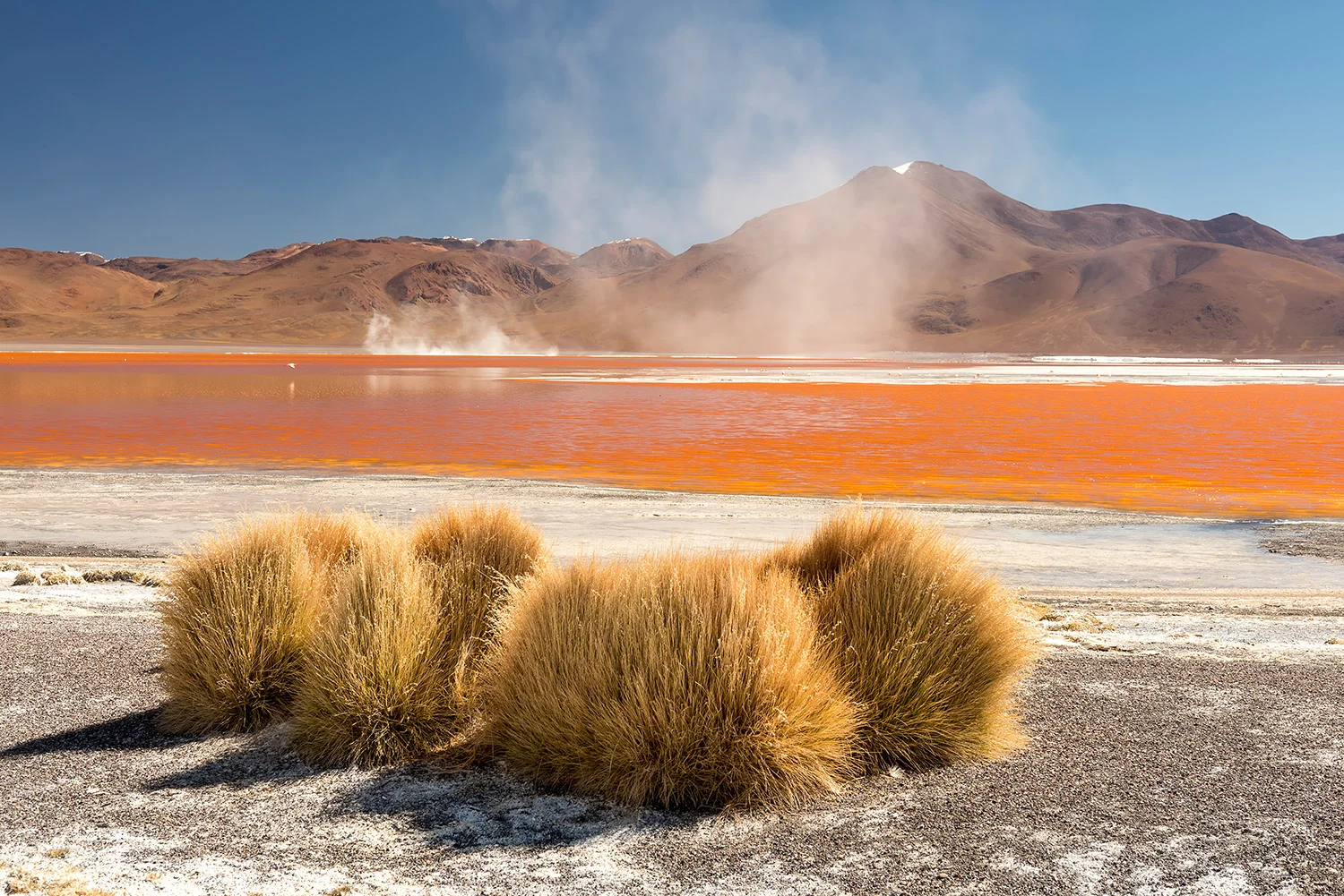 LAGUNA COLORADA - BOLIVIA