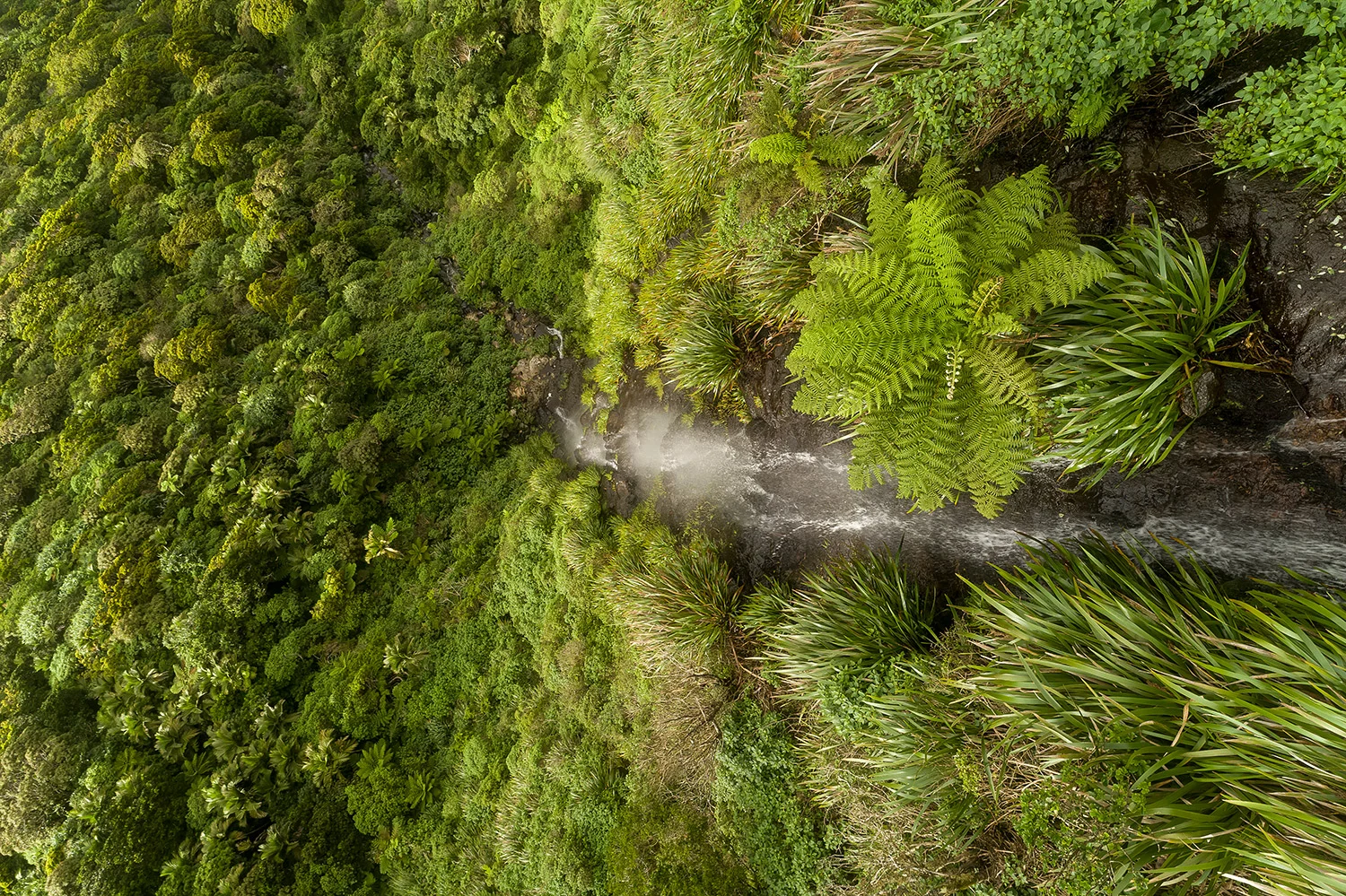 LORD HOWE ISLANDS