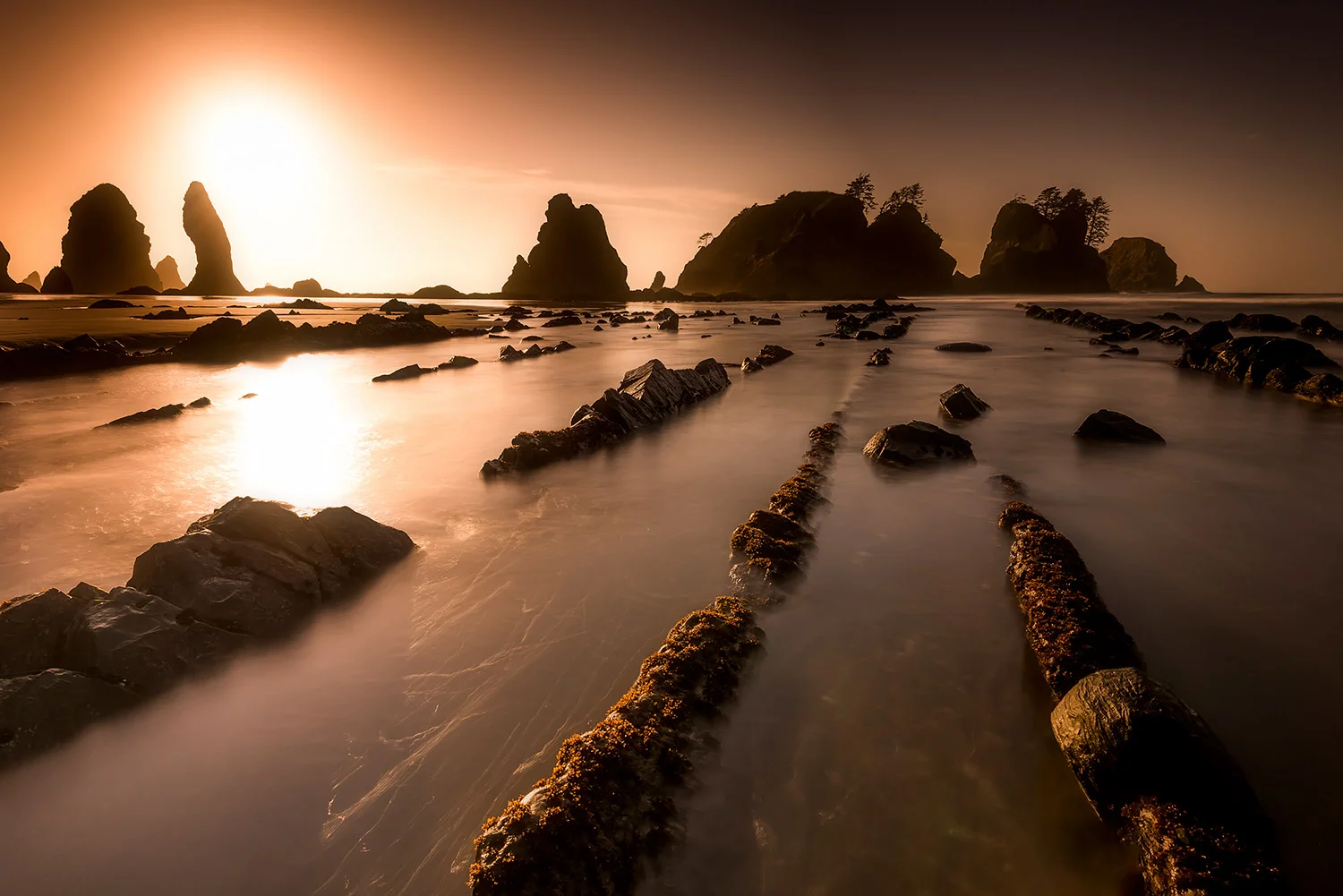 POINT OF THE ARCHES - WASHINGTON - USA
