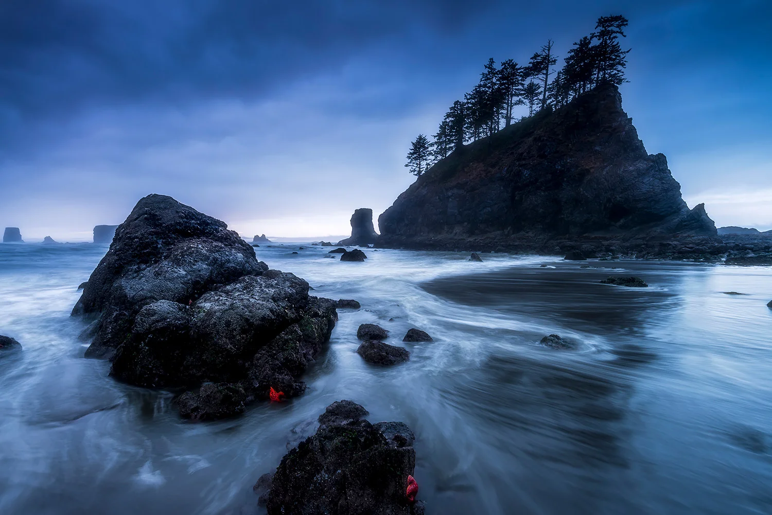 OLYMPUS NATIONALPARK - USA
