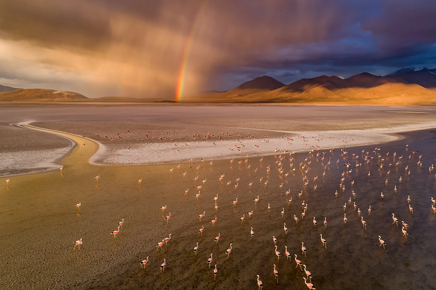 Thunderstorm in the Chilean Altiplano