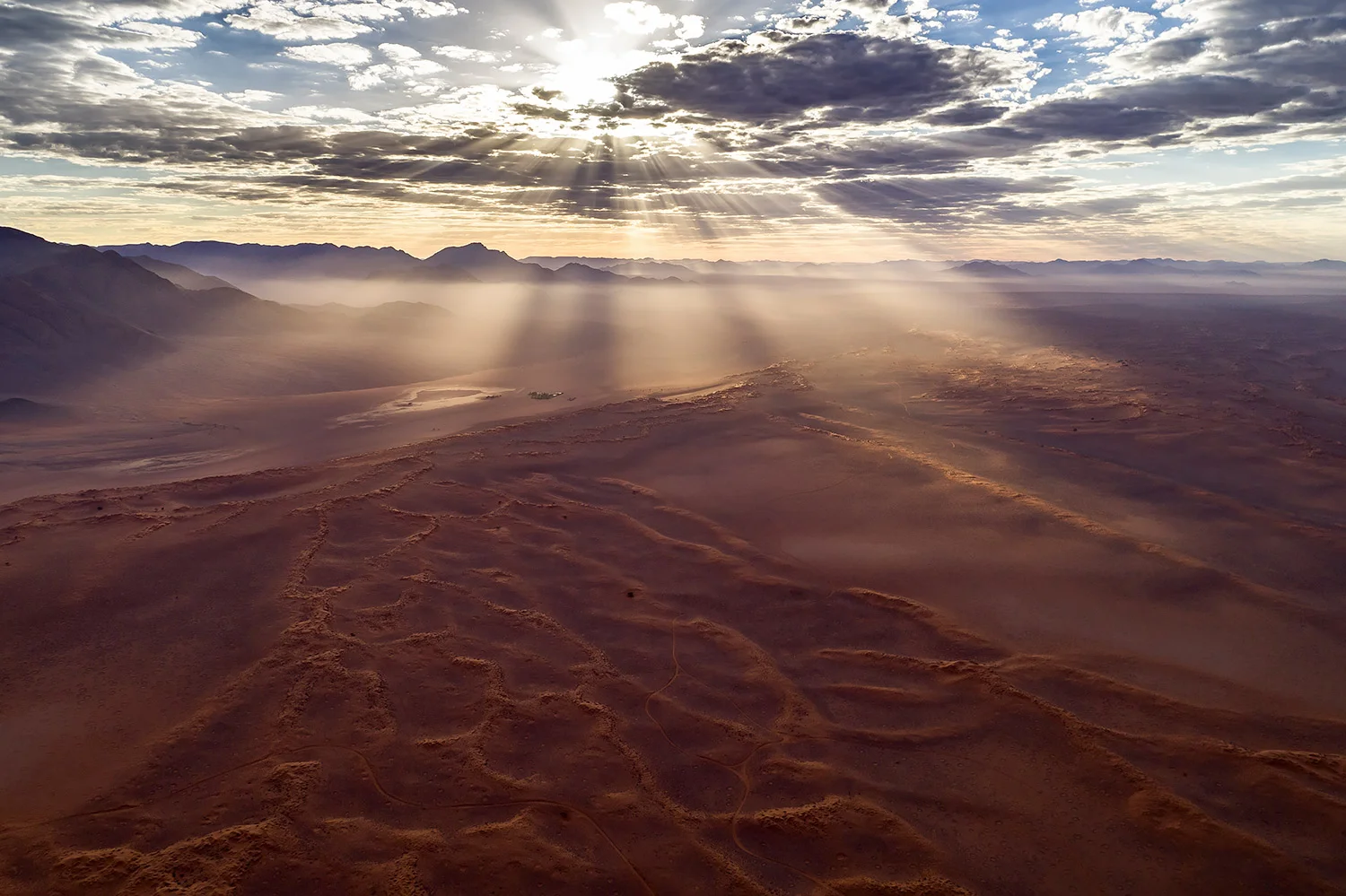 WOLWEDANS - NAMIBIA