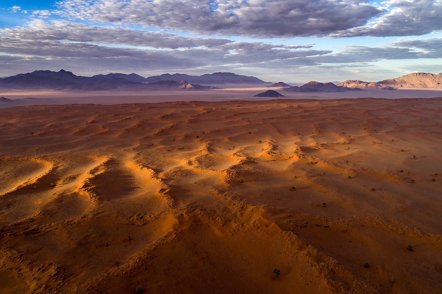 NAMIBRAND - NAMIBIA