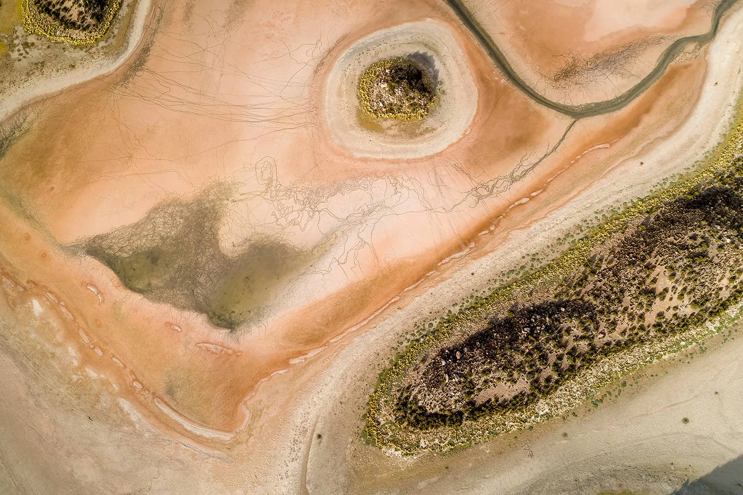 LAUCA NATIONALPARK - CHILE