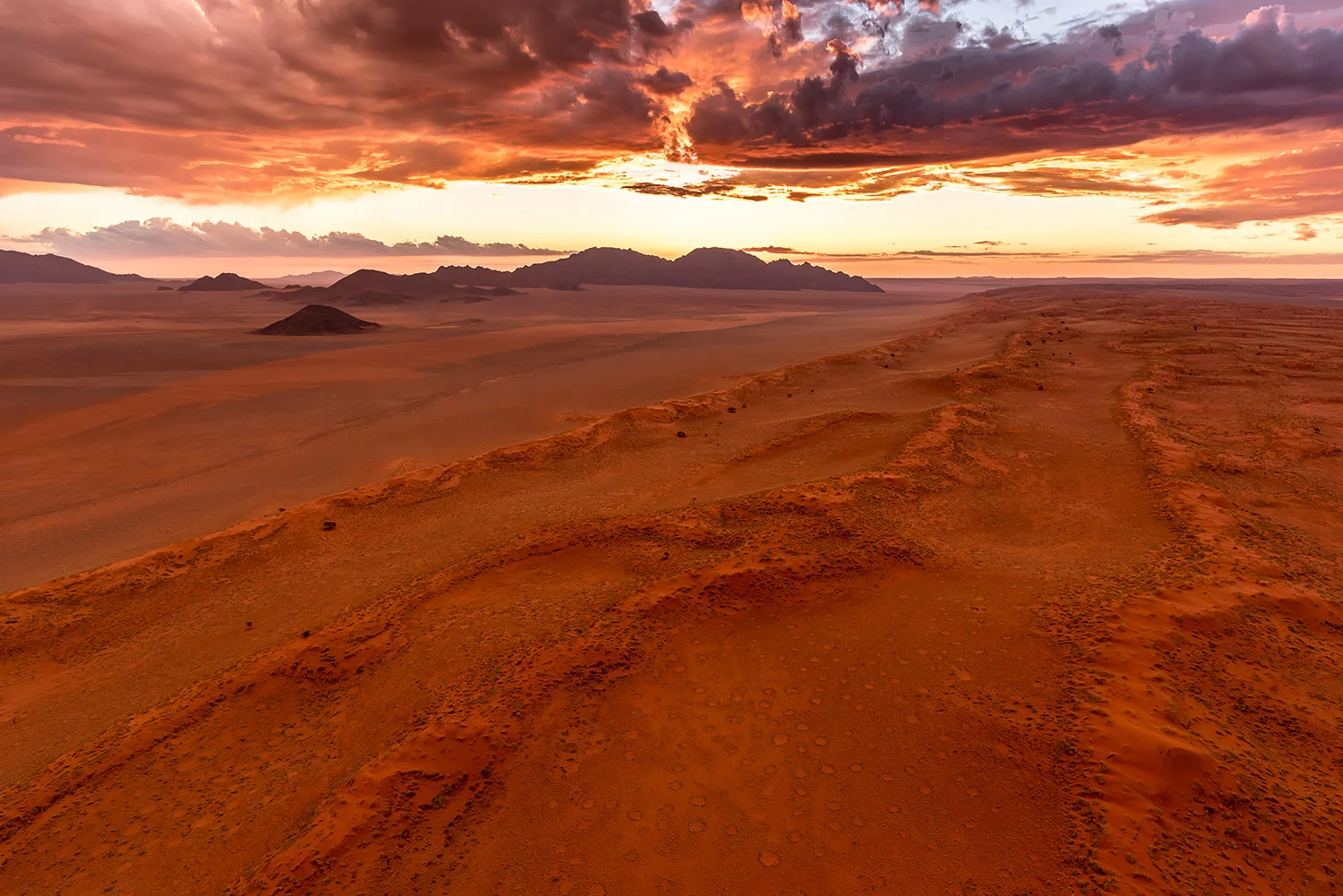 WOLWEDANS - NAMIBIA