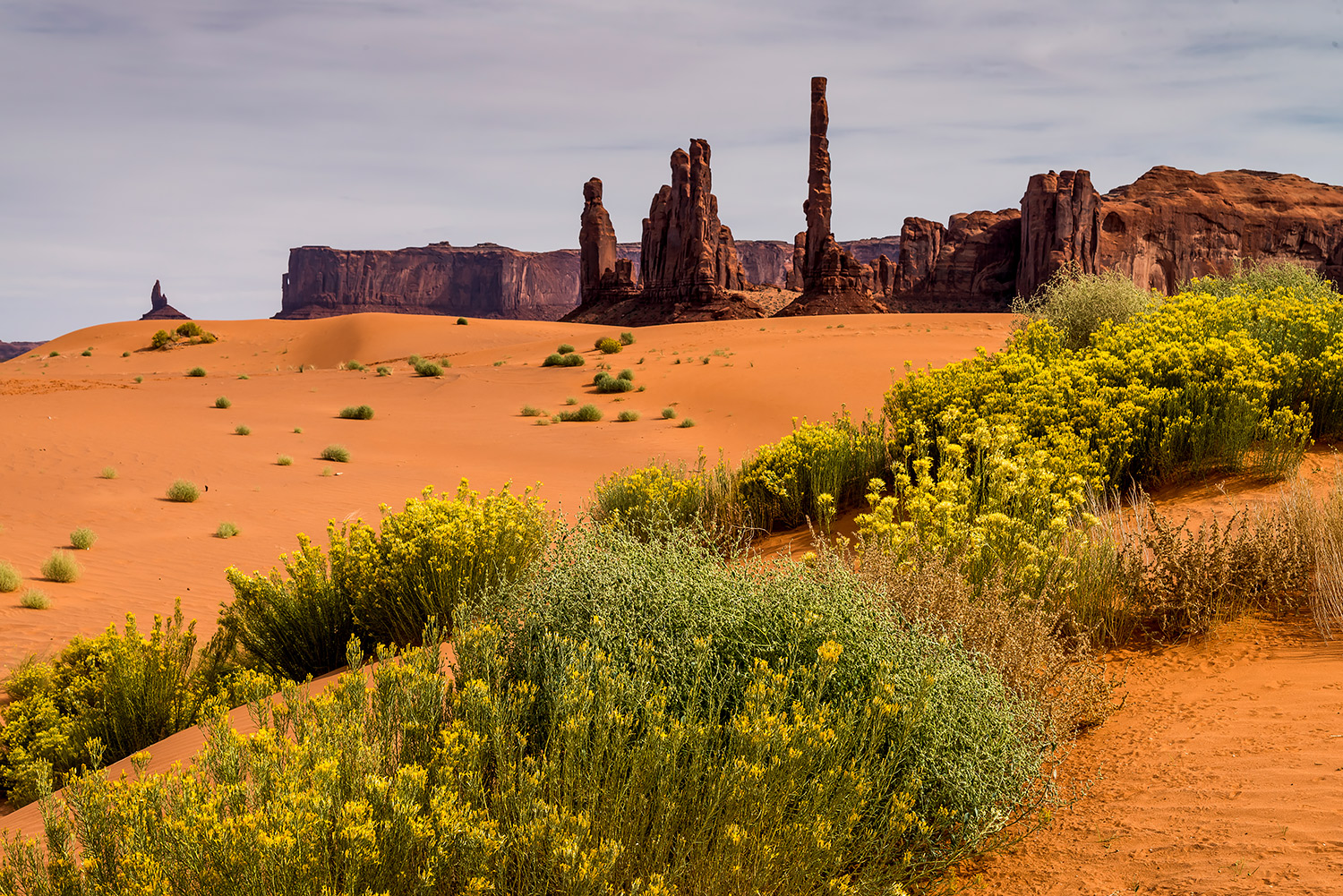 Canyon20.jpg