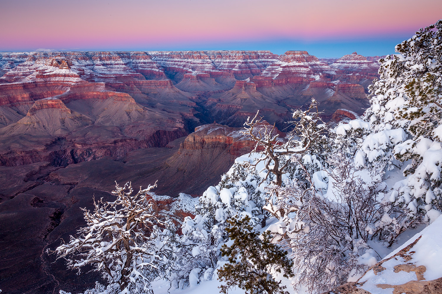 Canyon29.jpg