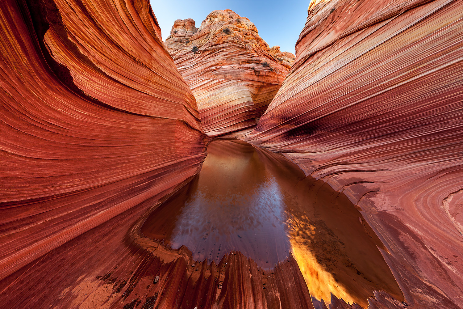 Canyon30.jpg