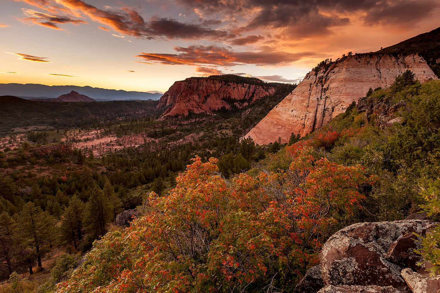 Canyon31.jpg