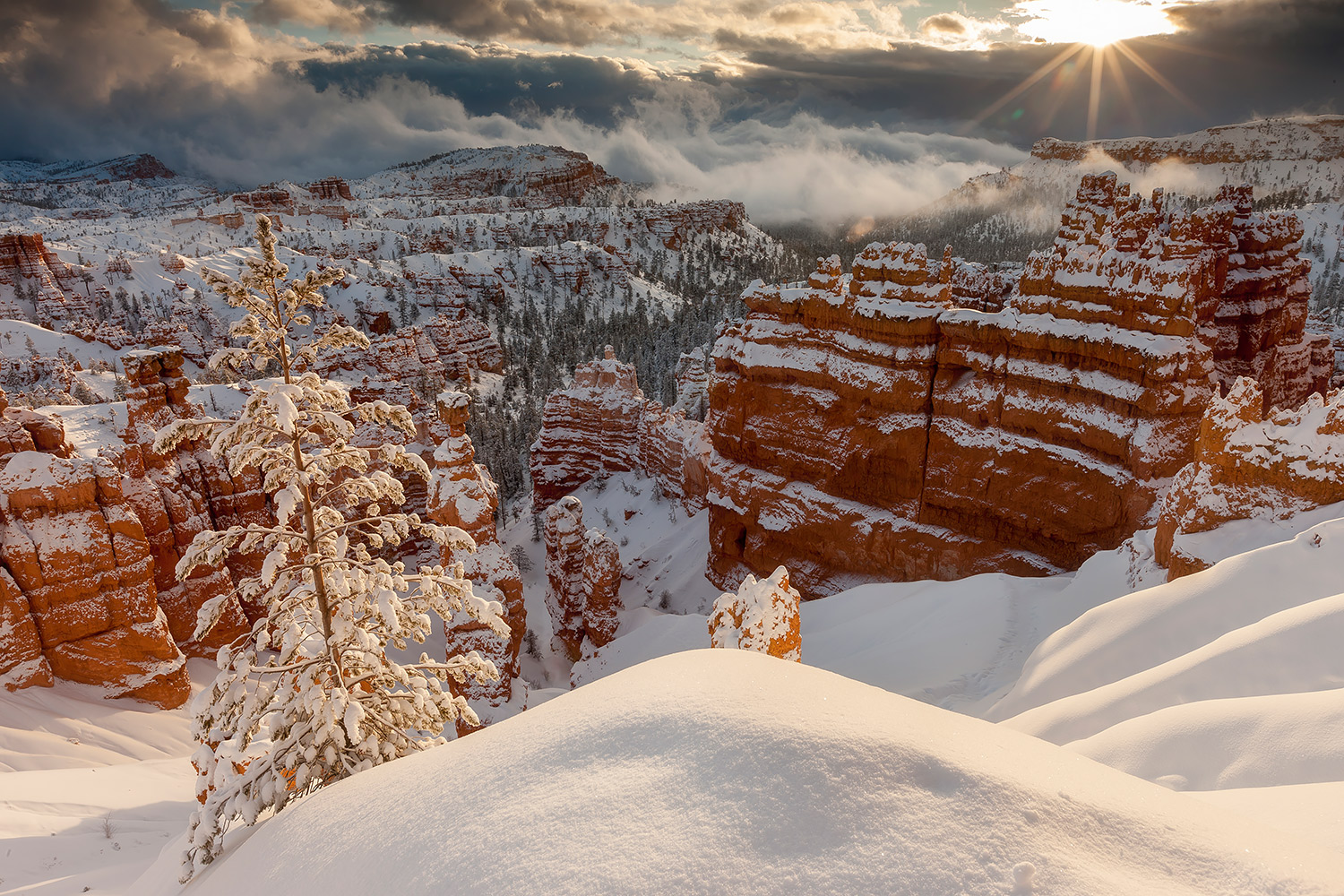 Canyon36.jpg